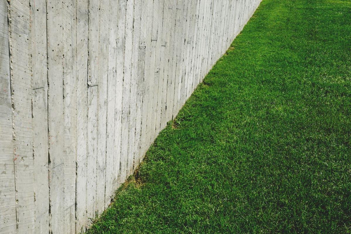 scott-webb-aLeIpVEGJwA-unsplash